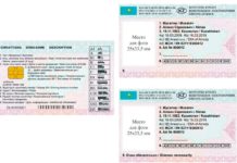 Права и техпаспорт нового образца в Казахстане начнут выдавать с 1 марта