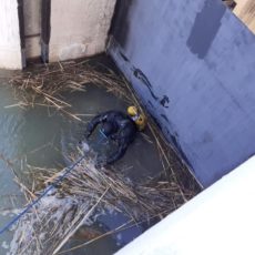 Водолазы в Казыгурте неделю искали тело водителя, который вместе с машиной упал в канал