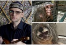 Акын Акыныч показал страшные кадры с замученными животными в контактном зоопарке Шымкента зоопарк в черепахе