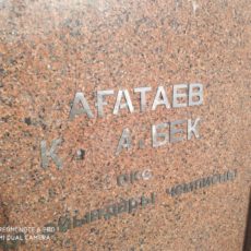 Городской сканворд: Угадай имена спортсменов на Аллее славы в Шымкенте по оставшимся буквам