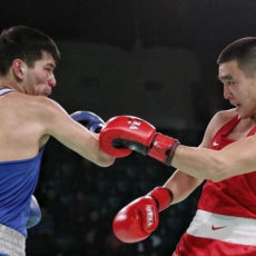 Туркестанские спортсмены завоевали на Чемпионатах около 400 золотых медалей бокс