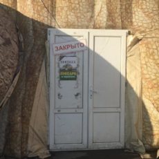10 дней дали хозяевам контактного зоопарка, чтобы собраться и покинуть Шымкент