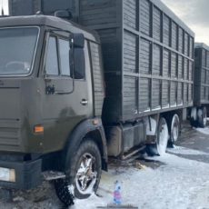 С казахстанских перевозчиков сборы на территории Узбекистана взиматься не будут