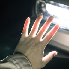 48 человек стали жертвами, 248 пострадали в жутких ДТП в Шымкенте