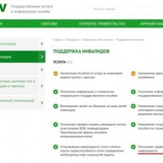 Информацию об инвалидности ребенка до 18 лет можно подтвердить в онлайн режиме