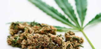 Казахстанца осудили за попытку ввоза наркотиков в Россию каннабис