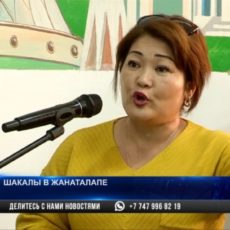 В Шымкенте жителей жилого массива Жанаталап терроризируют шакалы