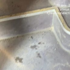 Блогер просит обратить внимание на состояние автобусов в Шымкенте мусор в автобусе