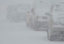 Погодный «апокалипсис» обещают синоптики в Шымкенте