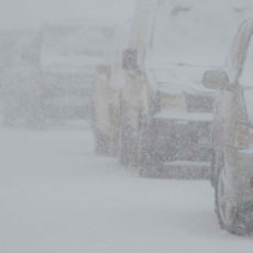 Каким будет ноябрь, рассказали синоптики