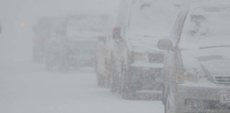 Каким будет ноябрь, рассказали синоптики