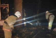 Три тысячи цыплят сгорели при пожаре на птицефабрике в Толебийском районе