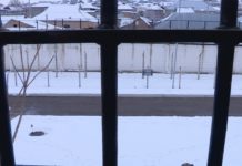 Медикам Шымкента показали, как выглядит небо в клеточку