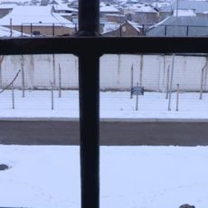 Медикам Шымкента показали, как выглядит небо в клеточку