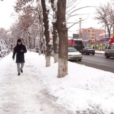 vlcsnap-2020-01-10-08h40m24s424