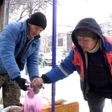 vlcsnap-2020-01-13-15h31m25s521