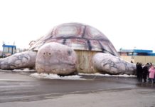 В Шымкенте закроют контактный зоопарк «Тортилла»