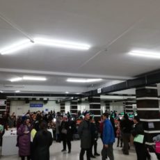В Шымкенте разработан график подачи документов на АСП в алфавитном порядке