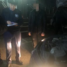 Полицейские Туркестанской области привлекли к адмответственности участников свадебного кортежа