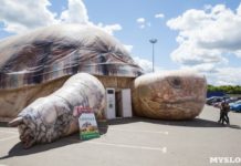 Депутат Кайрат Кудайберген обратился к акиму Шымкента с просьбой — закрыть контактный зоопарк зоопарк в черепахе