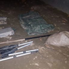 Рыбу и туши кроликов изъяли у браконьеров в Туркестанской области