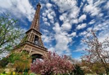 Шымкент сможет почувствовать «Вкус Франции»