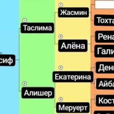 Котел и Черная касса: Как попадают в капканы финансовых пирамид