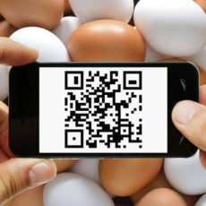 «Говорящие» яйца скоро появятся в Казахстане яйца: QR-код