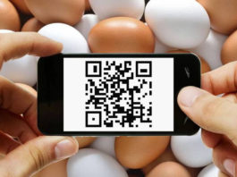 яйца: QR-код