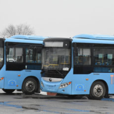 Бесплатный проезд на автобусах будет на Ораза айт в Туркестане