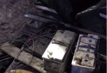 В Туркестанской области браконьеры оштрафованы на 1,3 млн тенге