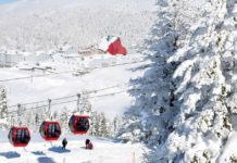 АО «СПК «Туркестан» возобновляет реализацию проекта по развитию «Каскасу»