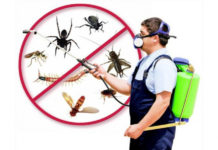 В Казахстане запретили продажу ядохимикатов для травли насекомых