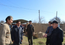 В Келесском районе нуждающейся семье помогают с ремонтом дома