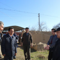 В Келесском районе нуждающейся семье помогают с ремонтом дома