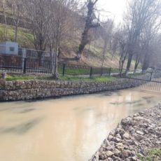 В Шымкенте вода в реке Кошкар-ата вдруг стала грязной и коричневого цвета