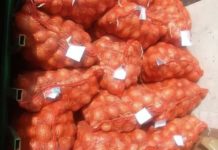 Крупную партию лука из Туркестанской области запретили ввозить в Россию лук