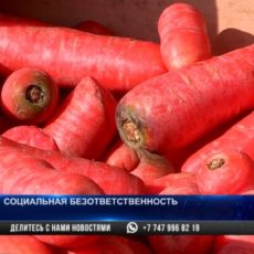 Жители Шымкента жалуются на качество и ассортимент соцпродуктов