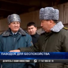 Беда близко: бурные воды реки Сайрам-су подбирается к домам шымкентцев