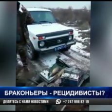 Браконьеры-рецидивисты гастролируют по территории Туркестанской области
