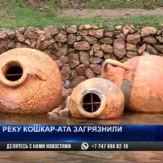 Стала известна причина загрязнения истоков реки Кошкараты