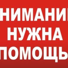 Шымкентцы, срочно нужна ваша помощь