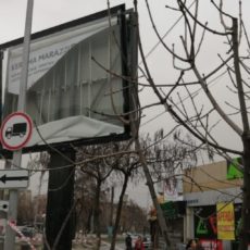 В Шымкенте ликвидированы последствия сильного ветра