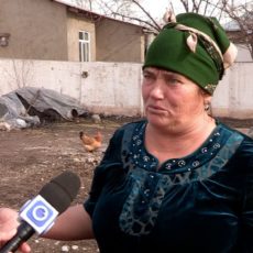 vlcsnap-2020-02-07-18h13m17s644