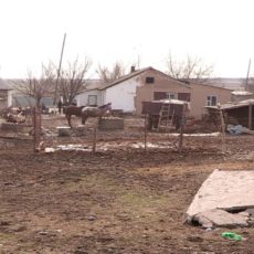 vlcsnap-2020-02-07-18h14m13s496