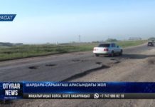Дырявую трассу «Сарыагаш-Шардара» отремонтируют