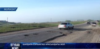 Дырявую трассу «Сарыагаш-Шардара» отремонтируют