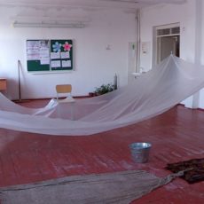 vlcsnap-2020-02-18-10h20m44s366