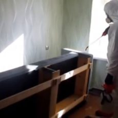 Дезинсекторы в Казахстане не имеют лицензии и не стоят на учете
