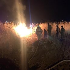 В Туркестане объявили тревогу